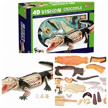 Сборка игрушки-головоломки Модель животного, Анатомическая модель Крокодила, образовательная модель